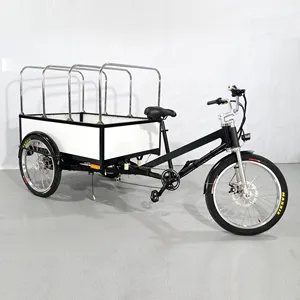 Tricycle électrique partie supérieure souple, testeur creux, Cargo