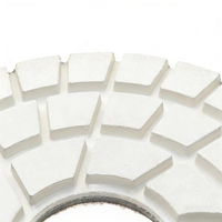 Disque abrasif diamanté JDK 9 pouces, extra fin, à liaison dure, pour utilisation humide/sèche, compatible avec les meuleuses d'angle, pour pierre, granit, marbre, sols