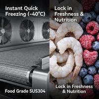 Premium Choice IQF Tunnel Vrieskast voor Biologisch Fruit en Groenten, Lage Dehydratieratio, Duurzame RVS-constructie