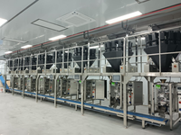 RL520 Machine d'emballage verticale entièrement automatique pour petits granules chips chips sac à collation en triangle