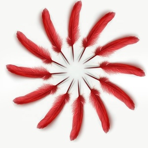 สีที่สวยงามย้อมขนห่านธรรมชาติลงราคาพรรคขนนก - Product Image 4