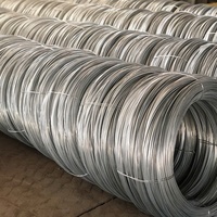 Çin pazarı 2 mm çap galvanizli çelik tel ve galvanizli çelik tel halat tedarik ediyor