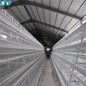 Vente en gros de cages à œufs de type <span class=keywords><strong>A</strong></span> en acier pour poules pondeuses automatique pour ferme avicole en Afrique du Sud - Product Image 3