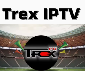 Boîtier le plus populaire, Allemagne, Pologne, IP européennes, chaînes américaines et britanniques, compatible avec <span class=keywords><strong>Firestick</strong></span>/Android/Smart <span class=keywords><strong>TV</strong></span>, 12 mois - Product Image 2