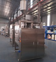 Machine VFFS automatique pour sachets plastiques de 10g à 5kg (sauce, mayonnaise, vinaigrette, jus, lait) avec étiquetage haute productivité