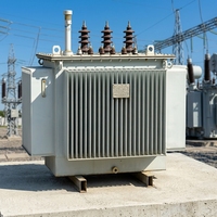 Transformateur immergé dans l'huile 30kVA 50kVA 80kVA 100kVA 125kVA Triphasé