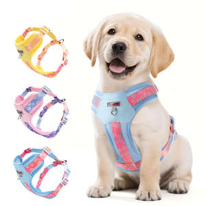 Harnais pour chien de luxe réglable à la vente chaude, style sportif en polyester, harnais réversible pour animaux de compagnie, ensemble de laisse - Product Image 1
