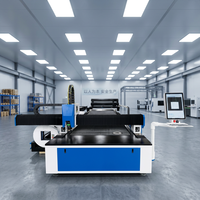 Machine de découpe laser à fibre CNC professionnelle pour tôles et tubes en acier inoxydable et acier au carbone