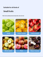 USB Mini Elektrische Chopper Voedselsnijder Machine Fruit- en Groentesnijder Beste Knoflook- en Fruitsnijder