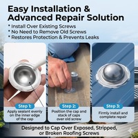 Customized Size Metal Waterproof Surface Treatment 35mm Roof Fastener Metal Cap for Roofing Screw-100 Package Carton or Bags