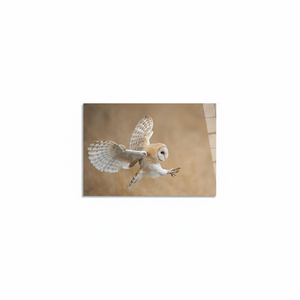 Elegante Impresión en Lienzo de Búho Cernido: Antes del Ataque, Decoración de Pared con Animales, ARTE EN VIDRIO TEMPLADO - Product Image 2