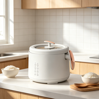 Cuisinière à riz électrique intelligente professionnelle de haute qualité avec cuve antiadhésive pour la cuisson des aliments à domicile