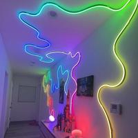 Bande Néon Lumineuse RGB Éclatante Télécommande Néons Colorés RGB DMX LED Néon Flexible