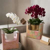 Boîte de transport pliable en carton écologique prête à être expédiée avec poignée, emballage robuste pour fleuristes, pour plantes en pot
