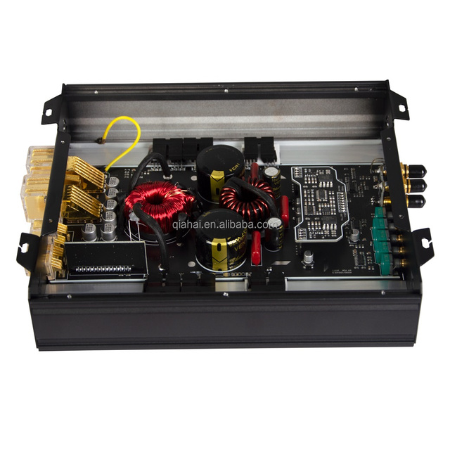 Class D Single Channel Car Amplifier, 600W RMS 1ohm Mono Amplifier Module for Car Audio Music, Can Laser Logo for Free, D600