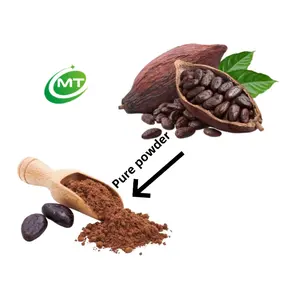 Poudre de cacao naturel pur de qualité alimentaire 100% pour la nourriture