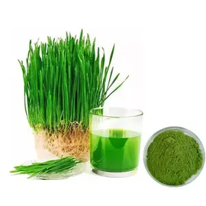 Factory Supply Organic Barley Grass Powder/Green Food Supplement barley grass tablet/Barley Grass Juice powder