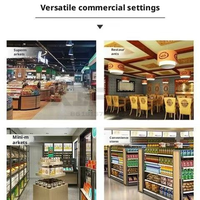 Vitrine Réfrigérée Commerciale pour Glaces et Viandes, Congélateur en Verre pour Bar à Malatang, Station de Service Buffet de Restaurant