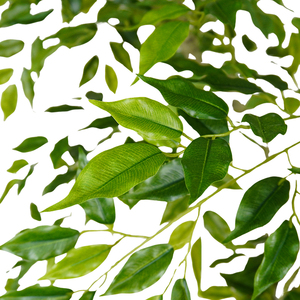 Oh Nghệ Thuật Lớn Nhân Tạo Ficus Cây Trong Nhà Trang Trí Nhựa Chậu Cây Bất Cảm Ứng Tùy Chỉnh Kích Thước Phong Cách Châu Âu - Product Image 4