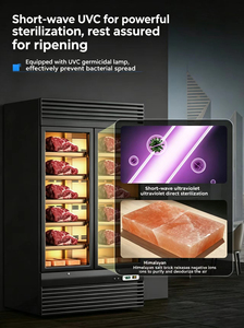 Gabinete <span class=keywords><strong>de</strong></span> Maduración <span class=keywords><strong>de</strong></span> Carne con Luz LED, Enfriador <span class=keywords><strong>de</strong></span> Aire, Control Digital <span class=keywords><strong>de</strong></span> Doble Temperatura, 3 Puertas, para Maduración en Seco <span class=keywords><strong>de</strong></span> Filetes, Ideal para Cocina/Restaurante - Product Image 3