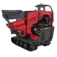 Wettbewerbs fähiger Preis Gute Qualität Tracked Mini Dumper Konstant Mini Transporter Dumper Garden Mini Dumper