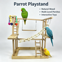 Support de jeu pour perroquet en bois naturel personnalisé, fabriqué en Chine, aire de jeux pour oiseaux, jouet d'entraînement pour perroquet, vente en gros