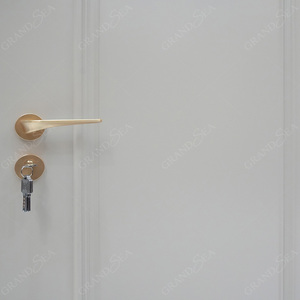 室内白色实木门 木门出厂价 简约设计 适合办公室室内 - Product Image 4