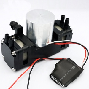DC Dual sin escobillas Motor de aire pequeño/bombas de Gas 24 V de vacío de diafragma de toro de la bomba - Product Image 4