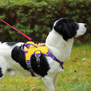 Dog Escape Proof Leash Vest Style <strong>Harness</strong> Small and Medium Dog <strong>French</strong> <strong>Bulldog</strong> Corgi Anti Pull Dog Rope - Product Image 6