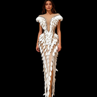 Robe longue de soirée blanche à franges et strass pour femme, transparente, pour boîte de nuit, fête, spectacle, festival