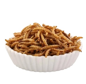 Aperitivo para mascotas, venta al por mayor, gusanos de pan húmedo, 100%, carne Natural, gusanos amarillos, pájaros, hámsteres, peces ornamentales, tortugas, comida caliente - Product Image 1