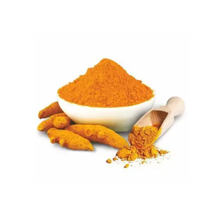 Extrait de plantes en poudre de curcuma de haute qualité du fournisseur indien - Product Image 2
