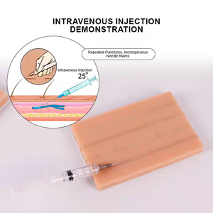 Mannequin d'entraînement aux injections intraveineuses ADA Medical Science (Modèle PVC BIX-HS15-2 2 vaisseaux) - Product Image 2