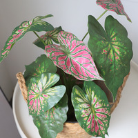 Spray de feuilles de caladium artificielles 44 cm, vert et violet, tige de feuillage tropical artificiel pour la décoration de la maison, du jardin et des mariages
