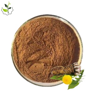 Hot Selling Organic 5% <strong>Dandelion</strong> Root Extract Powder Flavonoids Herb <strong>Dandelion</strong> Flavone <strong>Dandelion</strong> Extract - Product Image 1