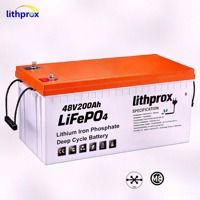 LiFePO4 Batteriezelle 48V200AH 3-Rad-Roller-Batterie Vibrationsbeständig Fortschrittliches BMS für Elektro-Dreirad-Roller MSDS UN38.3 CE
