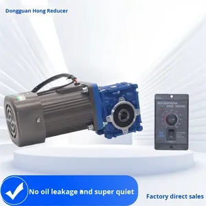 Single-Phase AC Gear <strong>Motor</strong> RV030/RV040/RV050/RV063 Turbine Worm Gear Speed Control 40W/60W/120W/25W 115/120V - Product Image 1