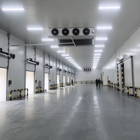 Chambre froide industrielle commerciale de grande capacité avec unité de condensation à compresseur à vis pour entrepôt de viande et de produits alimentaires