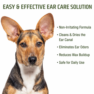 Toallitas de Limpieza para Oídos de Perro de Marca Privada |   Toallitas para Oídos de Mascotas de Marca Privada con Aloe Vera y Eucalipto |   Formulado por Veterinarios - Product Image 3