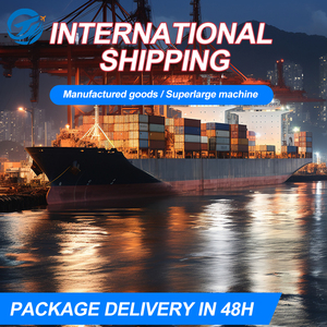 Agente de envío marítimo de China a Europa Países Bajos Servicio de carga marítima puerta a puerta - Product Image 6