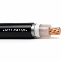 Câble d'alimentation blindé en cuivre YJV22 0,6/1 kV à un seul conducteur 1*150 mm², câble à grande section transversale isolé XLPE