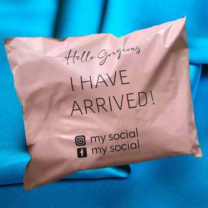 Custom LOGO Biodegradable Matte Pink Mailer <b>Bag</b> Polymailer Clothing Mailing Shipping <b>Bag</b> 10x13 6x9 - Product Image 5