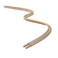 Câble de haut-parleur transparent 16 AWG en cuivre sans oxygène pour enceintes domestiques, autoradios et amplificateurs