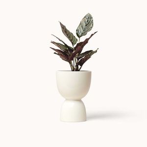 <span class=keywords><strong>Pot</strong></span> <span class=keywords><strong>de</strong></span> fleurs en céramique avec plateau, <span class=keywords><strong>support</strong></span> <span class=keywords><strong>de</strong></span> téléphone portable, <span class=keywords><strong>pot</strong></span> <span class=keywords><strong>de</strong></span> fleurs en <span class=keywords><strong>terre</strong></span> <span class=keywords><strong>cuite</strong></span> empilable pour bureau - Product Image 3