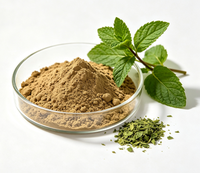 Extrait de menthe 10:1, poudre d'extrait de feuille de menthe soluble dans l'eau, extrait de menthe ZD Biological Supply, matière première d'extrait végétal en vrac