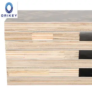 Size 18mm 1220*2440mm black film faced plywood construction plywood sheet