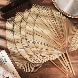Hojas de Palma Secas Naturales, Decoraciones Rústicas para Bodas, Flores Secas, Hojas de Palma Secas para Arreglos Florales - Product Image 6