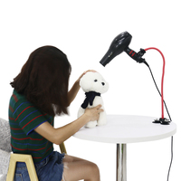 Support de sèche-cheveux mains libres flexible à col de cygne, bras long, support de souffleur pour toilettage d'animaux, pince réglable pour bureau/table pour chien et chat