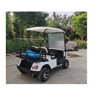 48v 100ah batterie mini club car 6 personnes voiturette de golf moteur électrique - Product Image 1