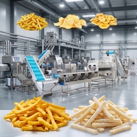 Machine industrielle de fabrication de frites surgelées 1200 kg/h, usine de production de chips de pommes de terre à haute productivité, projet clé en main